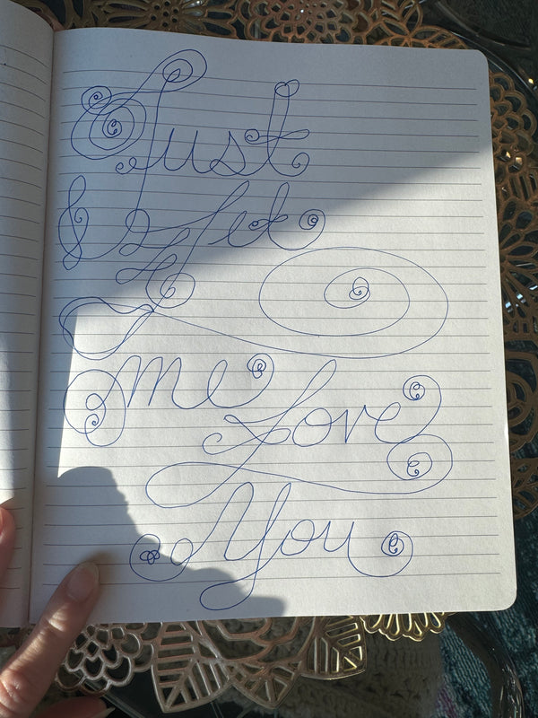 Fairy Codes: My Handwritten Journal 🌹